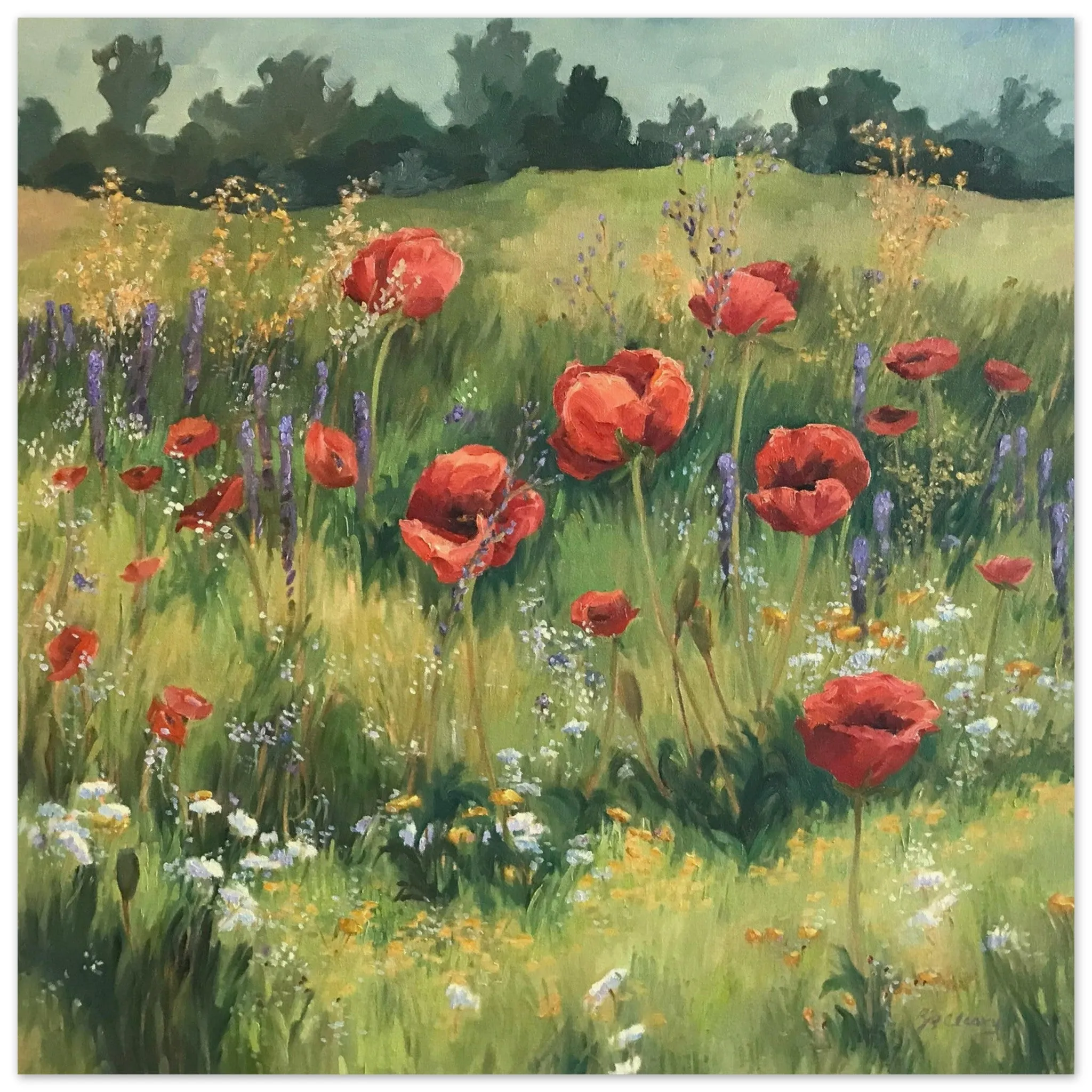 'Field of Red Poppies' I 16x16 Museum-Quality Matte Paper Poster | Original Artwork by American Artist Barbara Cleary