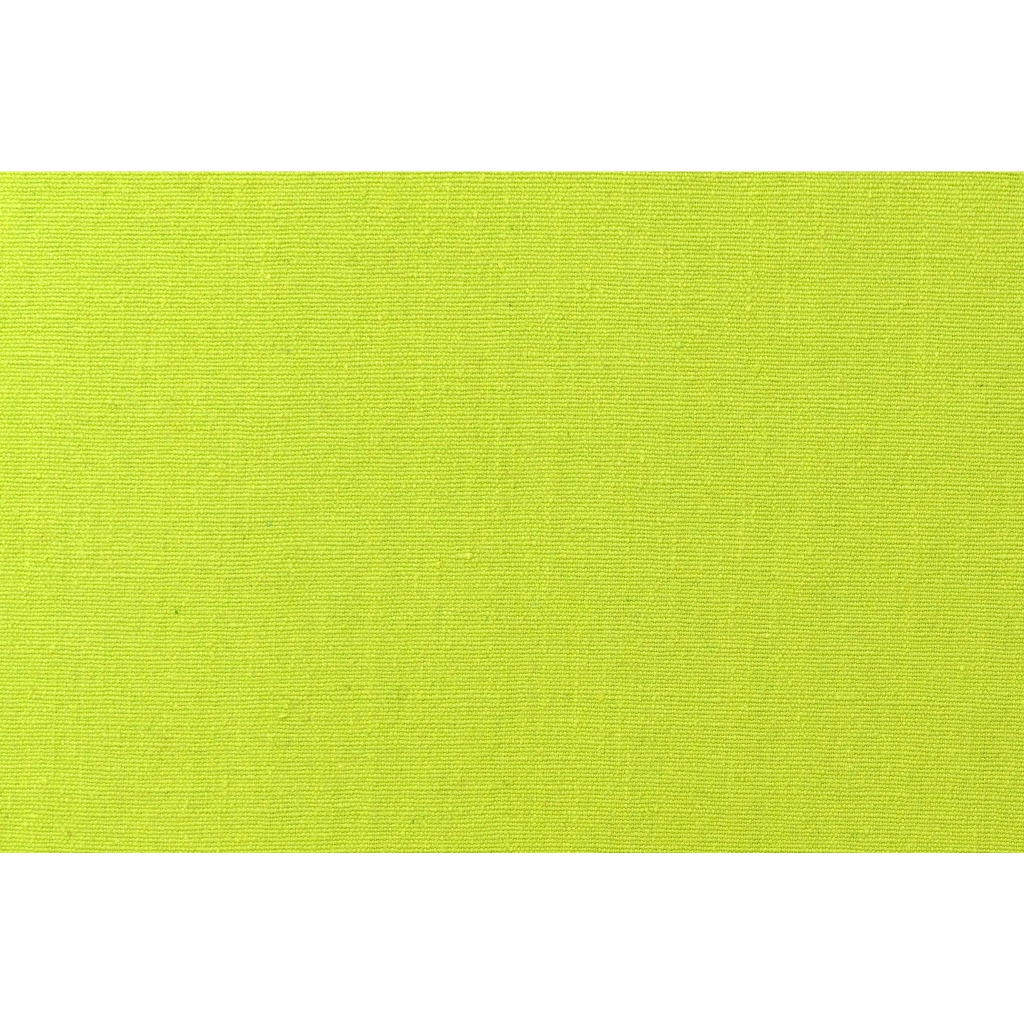 Miami Kiwi Hammock