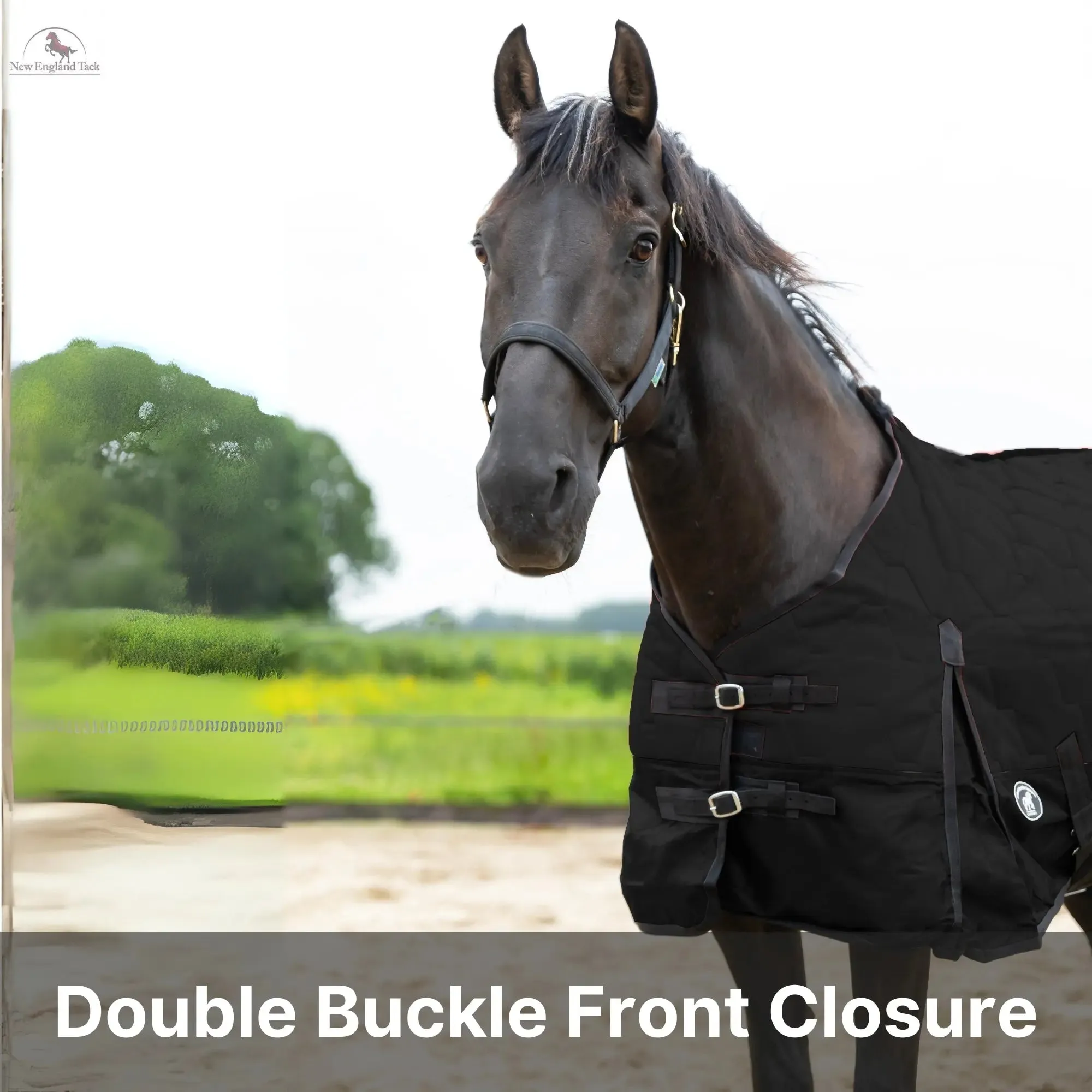 Resistance  420 Denier Quilted Nylon Horse Stable Blanket 200gm Polyfill